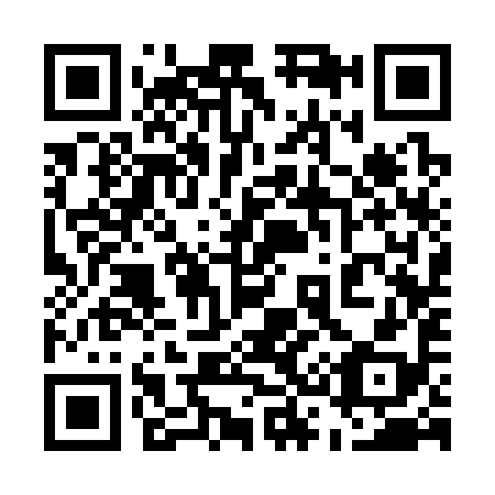QR code for 533398