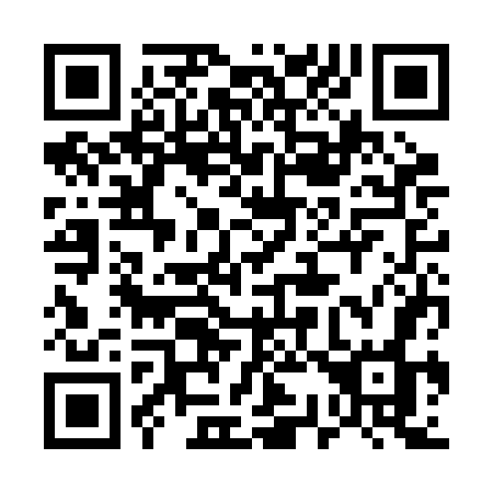 QR code for plate 533-BGO