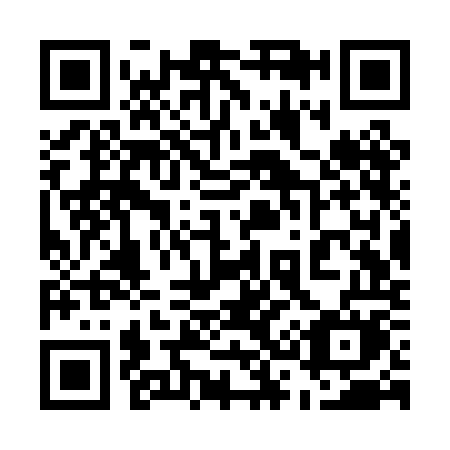 QR code for 533POM