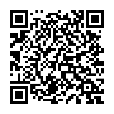 QR code for plate 533-TWD