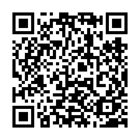QR code for 539-VIP