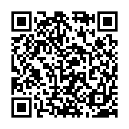 QR code for 539313