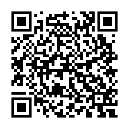 QR code for 541313