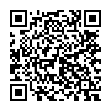 QR code for 545-LSI