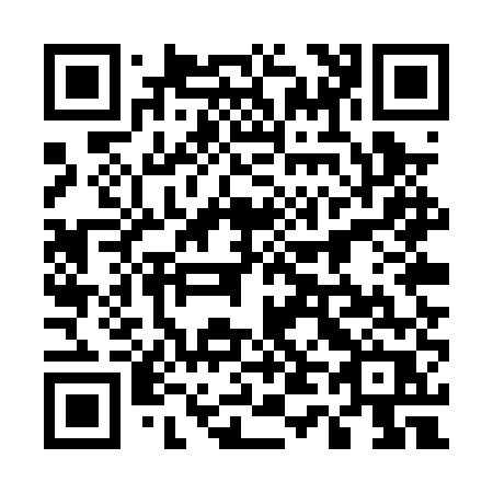 QR code for plate 545-PUR
