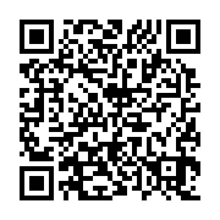 QR code for 546333