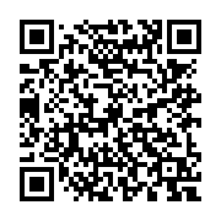QR code for plate 589-NIP