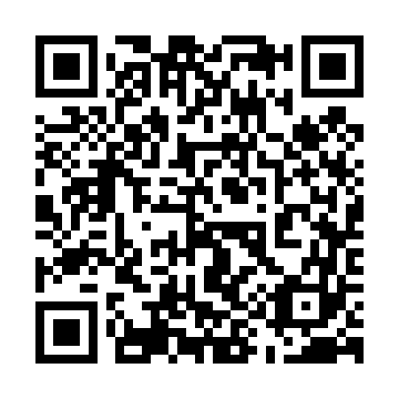 QR code for 593463