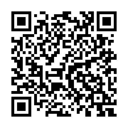QR code for plate 593-EIE