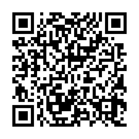 QR code for 595738