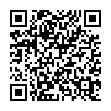 QR code for 596-UDM