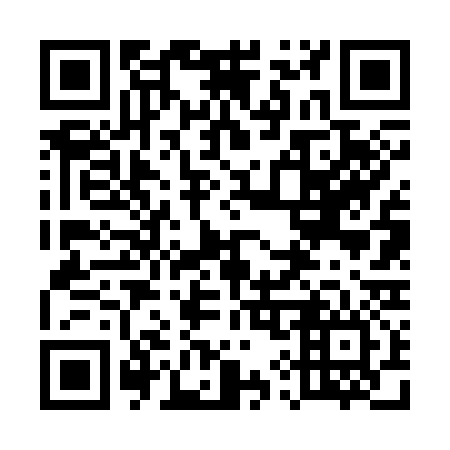 QR code for 596336
