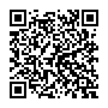 QR code for 599-AMB