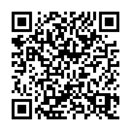 QR code for 599-DSP