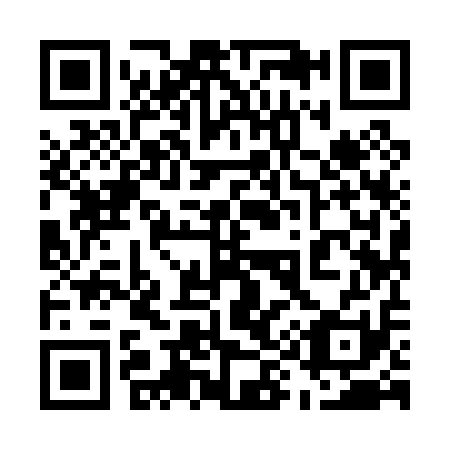 QR code for 599011