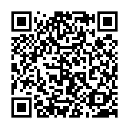 QR code for 599529