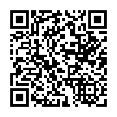 QR code for 600579