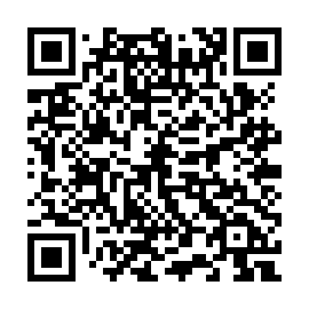QR code for plate 600-ZDD