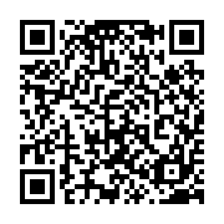 QR code for 603217