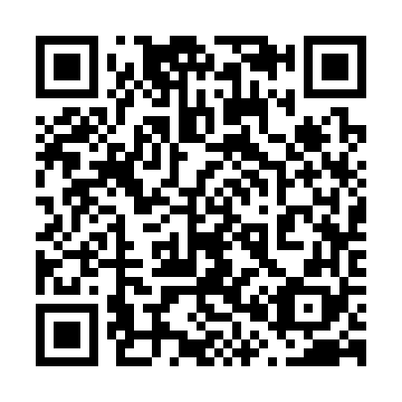QR code for 603368