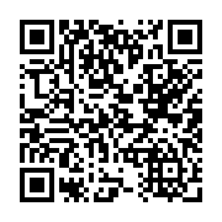 QR code for 611385