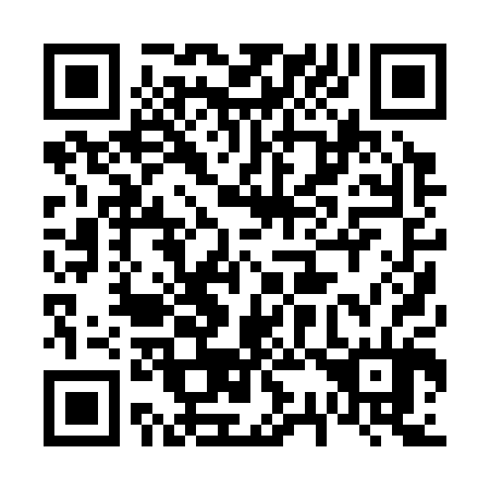QR code for 630304