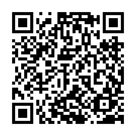 QR code for 638-BIR