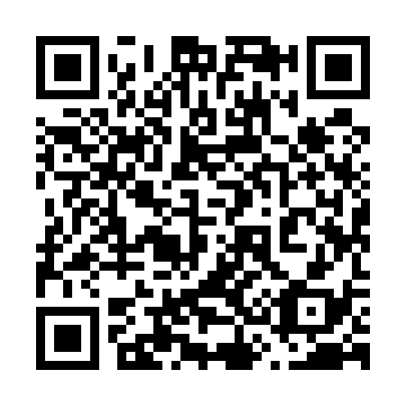 QR code for 639538