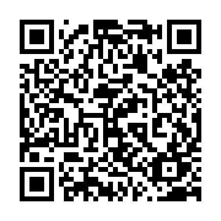 QR code for plate 641-DYT