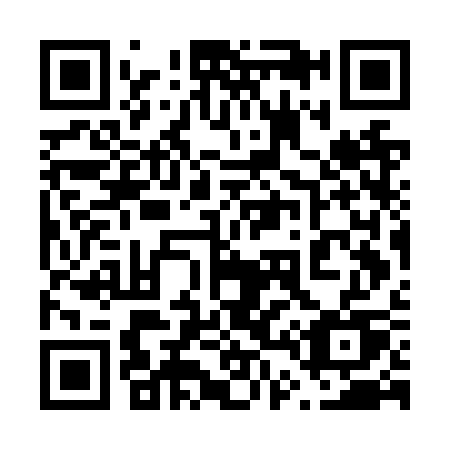 QR code for 647-NSU