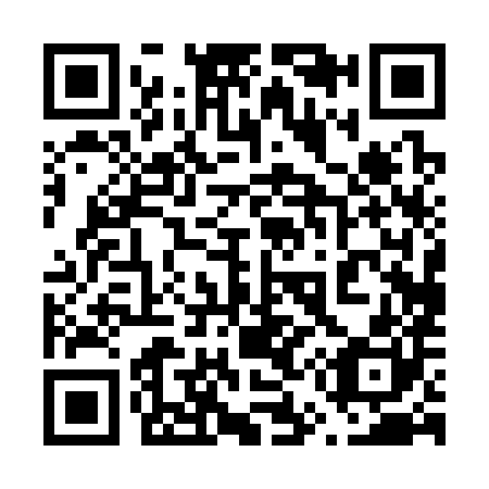 QR code for 650380