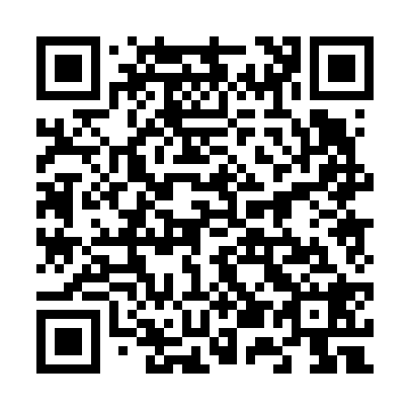 QR code for 650628