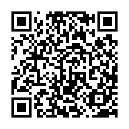 QR code for 650700