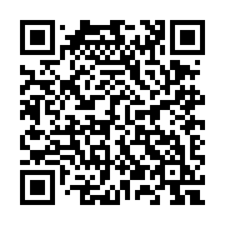 QR code for plate 650-DIK