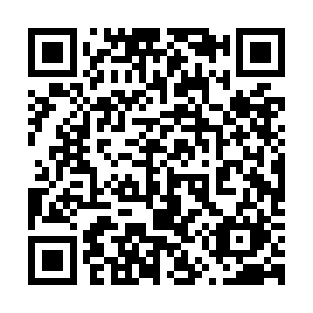 QR code for plate 650-OBM