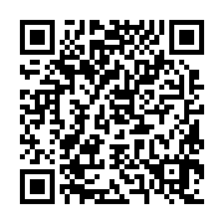 QR code for 655287