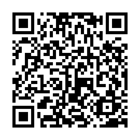 QR code for 655ICR