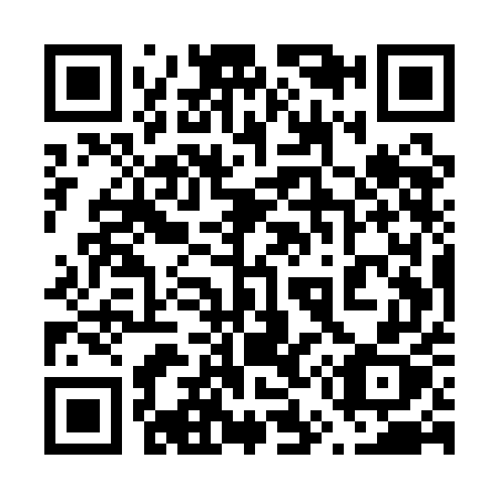 QR code for 655QEX