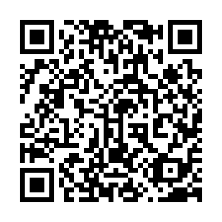QR code for 656319