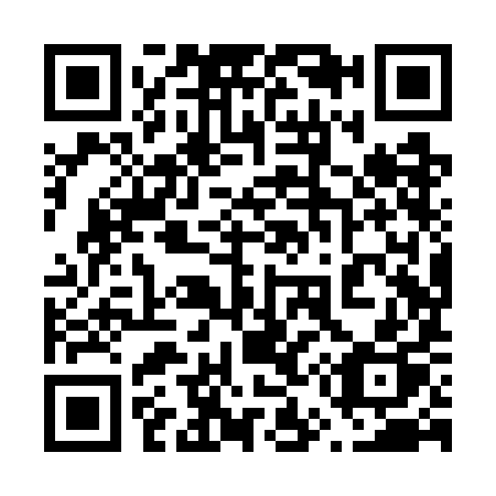 QR code for 658-WIP