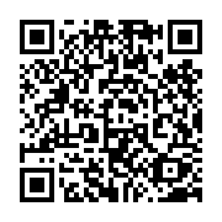QR code for 667-TOY