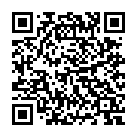 QR code for plate 667-DBS