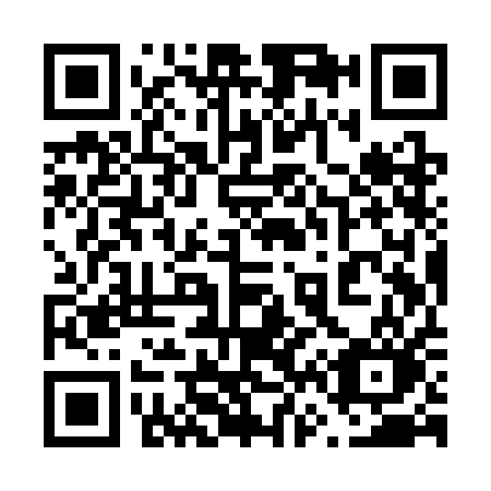 QR code for 669-SAO