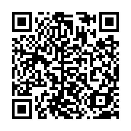 QR code for 678WPI