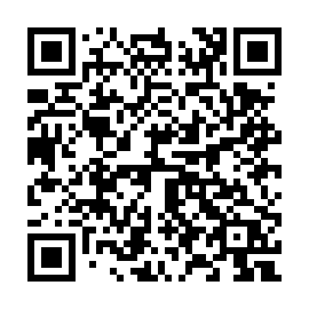 QR code for plate 691-DPP