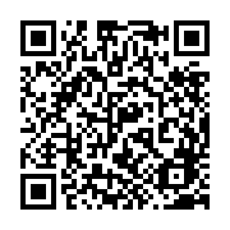 QR code for plate 691-ZDB