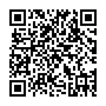 QR code for plate 699-NTZ
