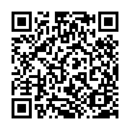 QR code for 699POS