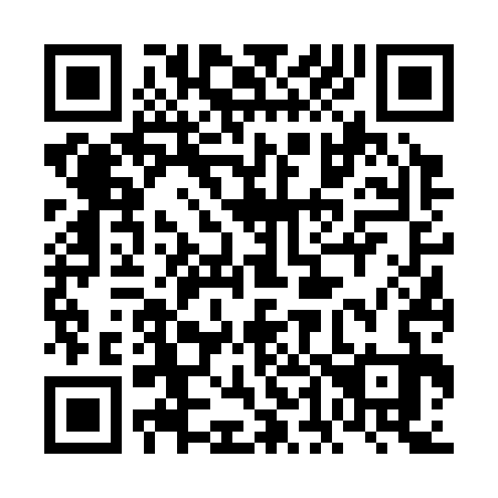 QR code for 6D6333