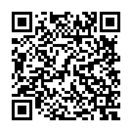QR code for 6N2861